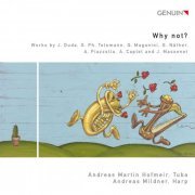 Andreas Martin Hofmeir - Why Not? (2013) [Hi-Res]