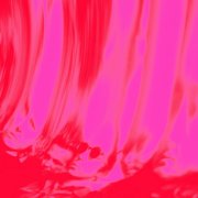 Ty Segall - Love Fuzzz (2026) [Hi-Res]