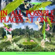 Liew Niyomkarn - In All Possible Places At Once (2024)