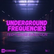 VA - Underground Frequencies: Tech-House Evolution, Vol. 01 (2024) FLAC