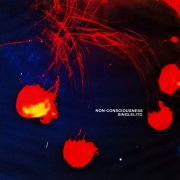 Singlelito - Non-Consciousness (2025) [Hi-Res]