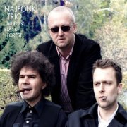 Najponk Trio - Bluesin' Black Forest (2017)