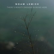 Noam Lemish - There's beauty enough in being here (2025) [Hi-Res]