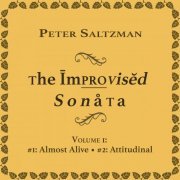 Peter Saltzman - The Improvised Sonata: Volume 1 (2019)