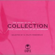 VA - The Sound Of DPI Collection - Vol.11 (2010)