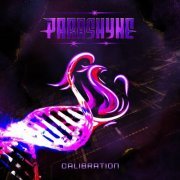 Parashyne - Calibration (2024) Hi-Res