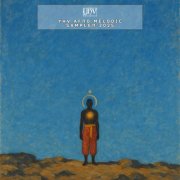 VA - YHV Afro Melodic Sampler 2025 (2026)