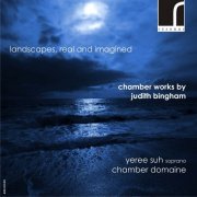 Stephen de Pledge, Yeree Suh, Thomas Kemp, Adrian Bradbury, Chamber Domaine - Landscapes, Real and Imagined: Chamber Works by Judith Bingham (2011) [Hi-Res]