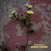 Mount Kimbie - fabric presents (2026)