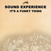 Sound Experience - It's a Funky Thing (2026) [Hi-Res]