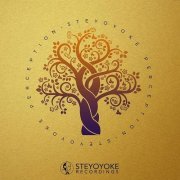 VA - Steyoyoke Perception Vol​.​06 (2020)