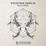 VA - Steyoyoke Gems Nocturnal 07 (2018)