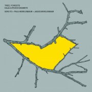 Goro Ito, Paula Morelenbaum & Jaques Morelenbaum - TREE, FORESTS tribute to RYUICHI SAKAMOTO (2025) Hi-Res