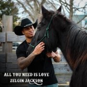 Zelgin Jackson - All You Need Is Love (2024)