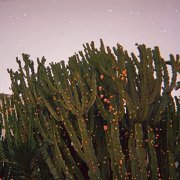 Wide Valley - Blurry Times (2021) Hi Res