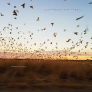 D-White Noise - Soundtrack for Life (2026)