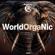 VA - World Organic 2024 (2024)