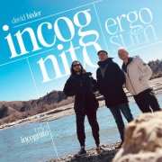 David Bixler - incognito ergo sum (2025) [Hi-Res]