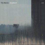 Tim Berne - Snakeoil (2012)