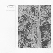 Orca Silent - The Long Grey (2025)