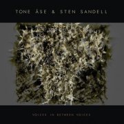 Tone Åse & Sten Sandell - Voices in Between Voices (2023) Hi-Res