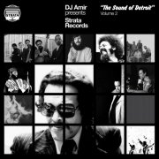 VA - DJ Amir presents Strata Records-The Sound of Detroit Vol. 2 (2026) [Hi-Res]