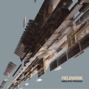 Fieldwork - Simulated Progress (2004)