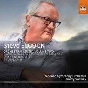 Siberian Symphony Orchestra & Dmitry Vasiliev - Steve Elcock: Orchestral Music, Vol. 2 (2020) [Hi-Res]