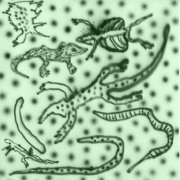 Vesu’s - List Of Lizards IV (2026)