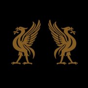 Joey Cape & Jon Snodgrass - Liverbirds (2010)