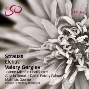 London Symphony Orchestra, Valery Gergiev, Angela Denoke, Matthias Goerne, Dame Felicity Palmer, Jeanne-Michele Charbonnet and Lia Shevtsova - Strauss: Elektra (2012) [Hi-Res]