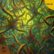 Holger Röder - Earthlight Vol.06 (2025) [Hi-Res]