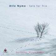 Atle Nymo - Solo for Trio (2019) Hi Res