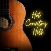 VA - Hot Country Hits (2020) flac