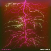 Leifur James - Magic Seeds (2024) [Hi-Res]