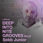 Sebb Junior - Deep Into Nite Grooves, Vol. 4 (2021)