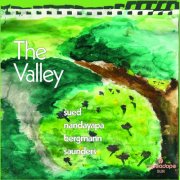 Sued Nandayapa Bergmann Saunders - The Valley (2025) [Hi-Res]