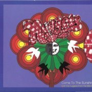 VA - Come to the Sunshine: Soft Pop Nuggets from the WEA Vaults (2004)