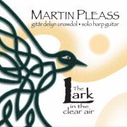 Martin Pleass - The Lark in the Clear Air (2020)