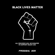 VA - BLACK LIVES MATTER COMPILATION (2020)