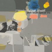 Arek Skolik Special Trio - Detour Ahead (2010)