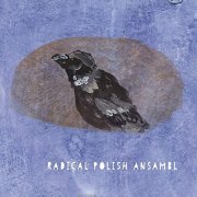 Radical Polish Ansambl, Remigiusz Mazur-Hanaj - Radical Polish Ansambl (2019) [Hi-Res]