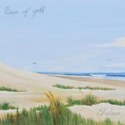 Bars Of Gold - SHELTERS (2019) [Hi-Res]