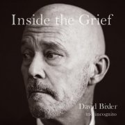 David Bixler Trio Incognito - Inside the Grief (2020)