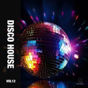 VA - Disco House Vol 12 (2026)
