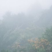 Chihei Hatakeyama - Mist (2015)
