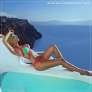 VA - Wellness & Spa Resort Perfect Chillout Playlist (2025)