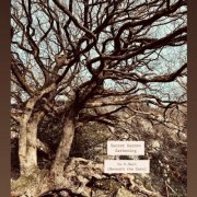 Secret Garden Gathering - Is-Y-Deri EP (2025)