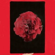 Activity - A Thousand Years In Another Way (2025) [Hi-Res]