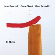 John Bostock - In Three (2025) Hi Res